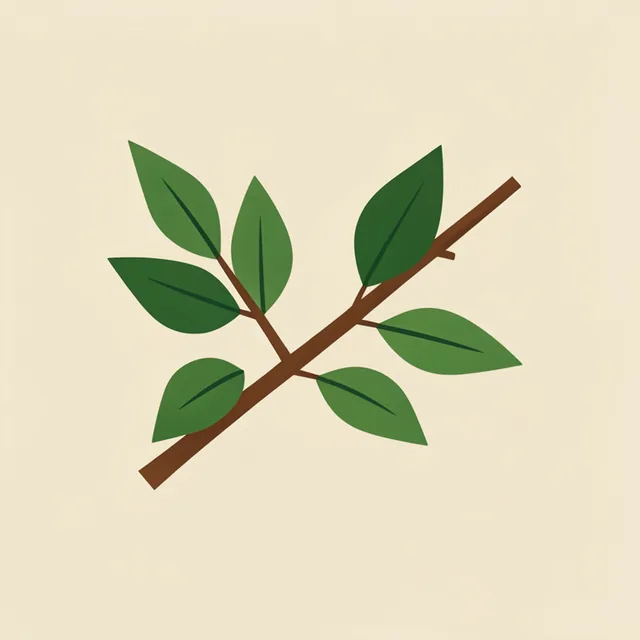 સંકેત ચિત્ર 4 / Clue picture 4